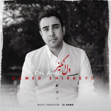 دانلود آهنگ جدید حامد شیربیگی دل انگیز